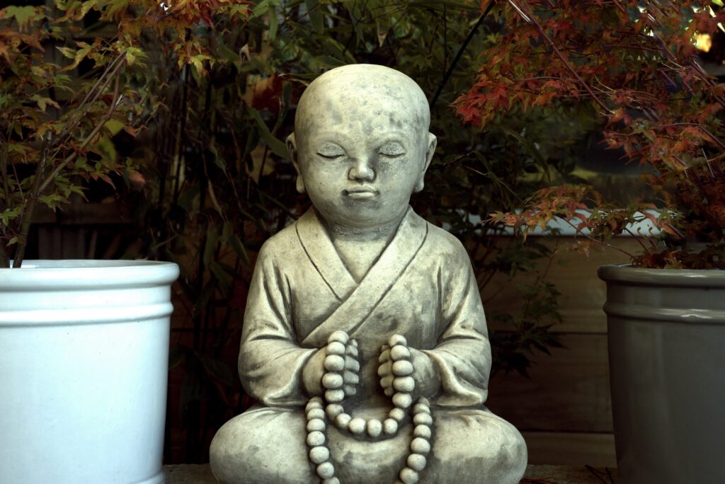 Mindfulness vs Vipassana: Which techinque is best for me?